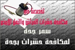 2ف