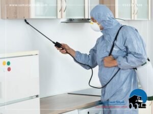 افضل شركة مكافحة صراصير بجده