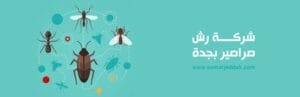 مكافحة صراصير بجده