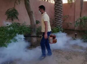 أفضل شركة مكافحة حشرات بالقنفذة