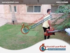 شركة مكافحه الصراصير برابغ