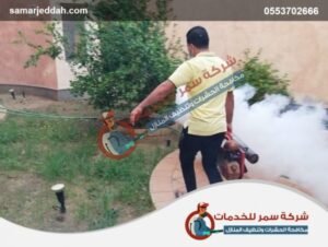 شركة مكافحه الصراصير برابغ