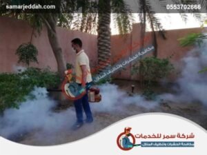 شركة مكافحة البق برابغ