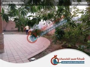 شركة رش مبيدات بجدة