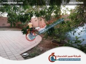 شركة مكافحة حشرات برابغ