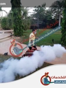 WhatsApp Image 2018 12 02 at 11.47.19 PM