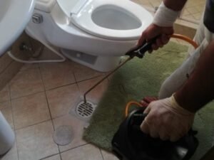 شركة مكافحة حشرات برابغ