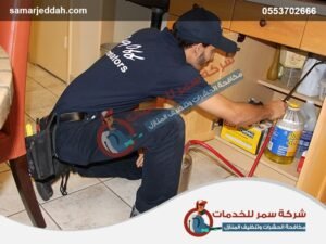 شركة مكافحة حشرات بالقنفذة