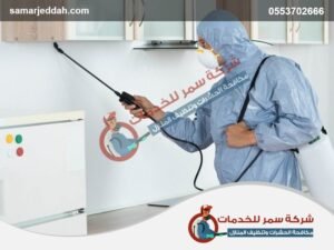شركة مكافحة حشرات بالقنفذة
