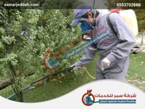 شركة مكافحة حشرات بالقنفذة