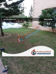 شركة مكافحه الصراصير برابغ6
