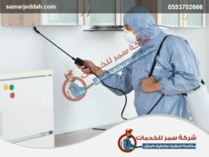 شركة مكافحه حشرات برابغ
