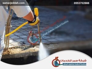 شركة مكافحه حشرات برابغ5