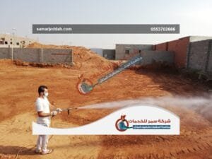 النمل الابيض في البيت