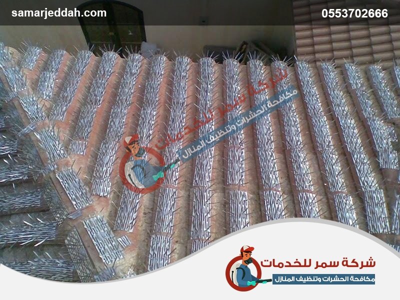 افضل شركة مكافحة طيور بجدة افضل شركة مكافحة طيور بجدة