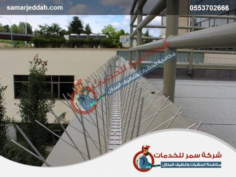 شركة تركيب طارد الحمام بجدة 0566990858 | شركة مكافحة الحمام بجدة 3 شركة مكافحة الحمام بجدة