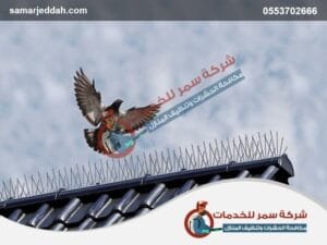 شركة مكافحة الحمام بجدة3