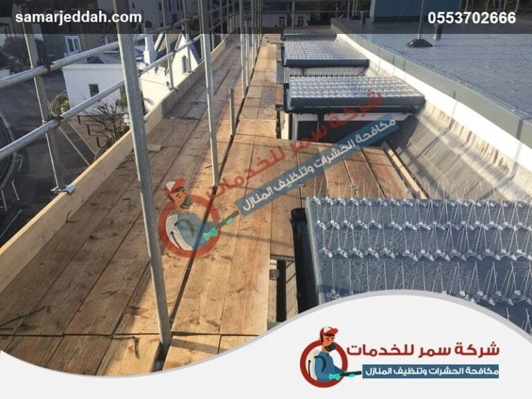 شركة تركيب طارد الحمام بجدة