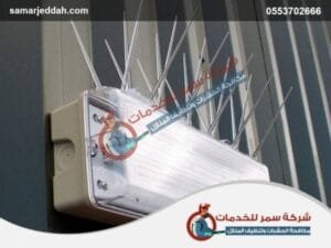 شركة مكافحة الحمام بجدة