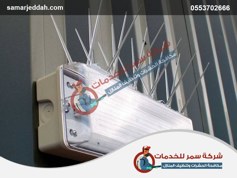 شركة مكافحة الطيور بجدة شركة مكافحة الطيور بجدة