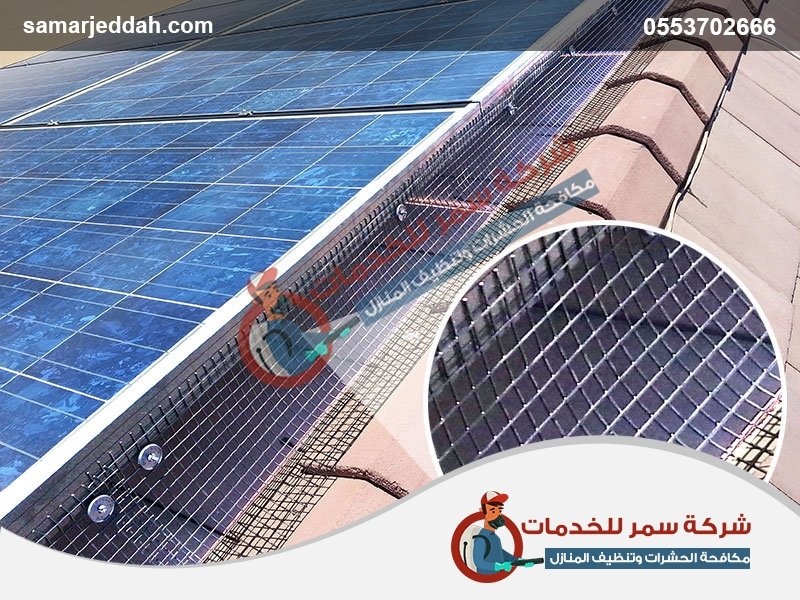 شركات مكافحة الطيور بجدة شركات مكافحة الطيور بجدة