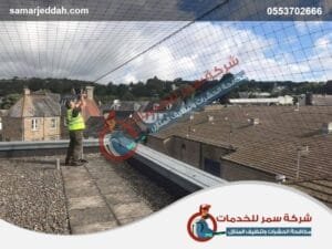 شركة مكافحة الحمام بجدة