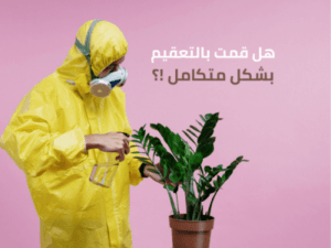 شركة تعقيم بجدة