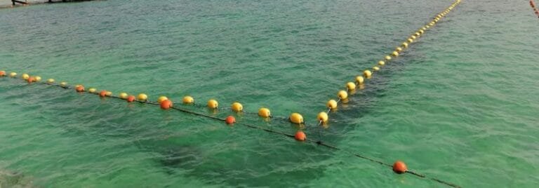 شبك حماية ضد القروش في جدة