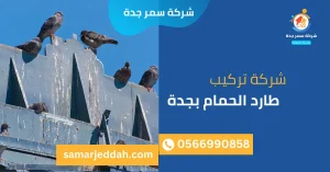 شركة تركيب طارد الحمام بجدة