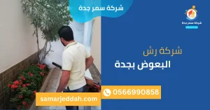 شركة رش البعوض بجدة