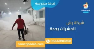 شركة رش الحشرات بجدة
