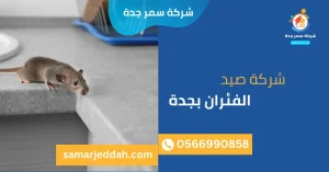 شركة صيد الفئران بجدة
