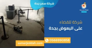 شركة للقضاء على البعوض بجدة