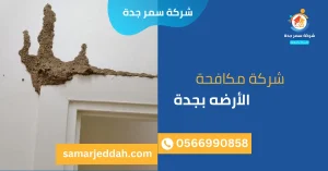 شركة مكافحة الأرضه بجدة