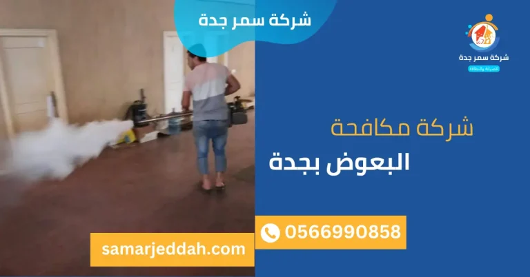 شركة مكافحة البعوض بجدة