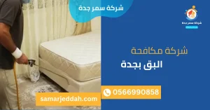 شركة مكافحة البق بجدة