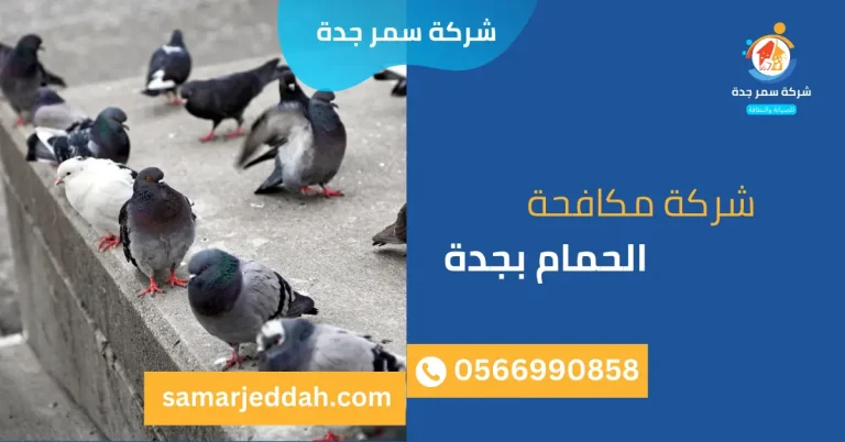 شركة مكافحة الحمام بجدة