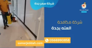 شركة مكافحة العته بجدة
