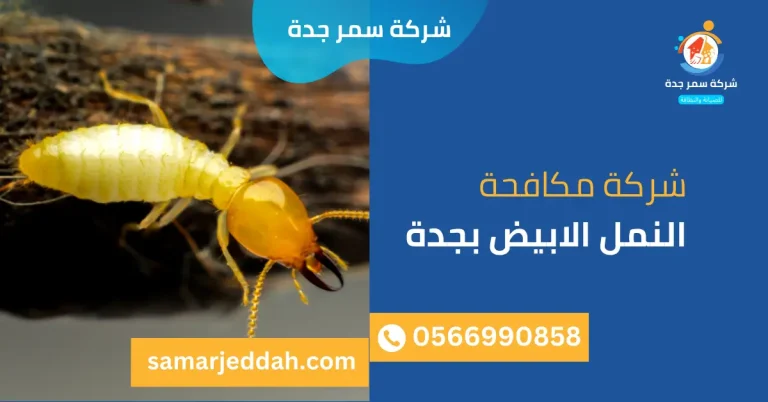 شركة مكافحة النمل الابيض بجدة