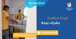 شركة مكافحة حشرات بجدة